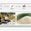Détecteur de métaux de poche détecteur de métaux alimentaires Haute sensibilité détecteur de fer dans des jouets en tissu  TY-25MJ – Image 5