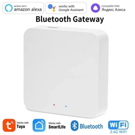 Capteur de Température et d'Humidité Bluetooth MAROC