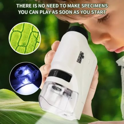 Microscope Portable Enfants avec LED Maroc