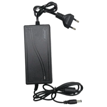 Chargeur Adaptateur 12V